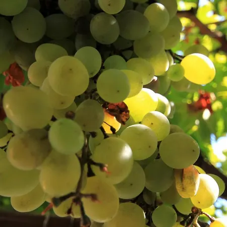 Apartment By The Sea - 9127