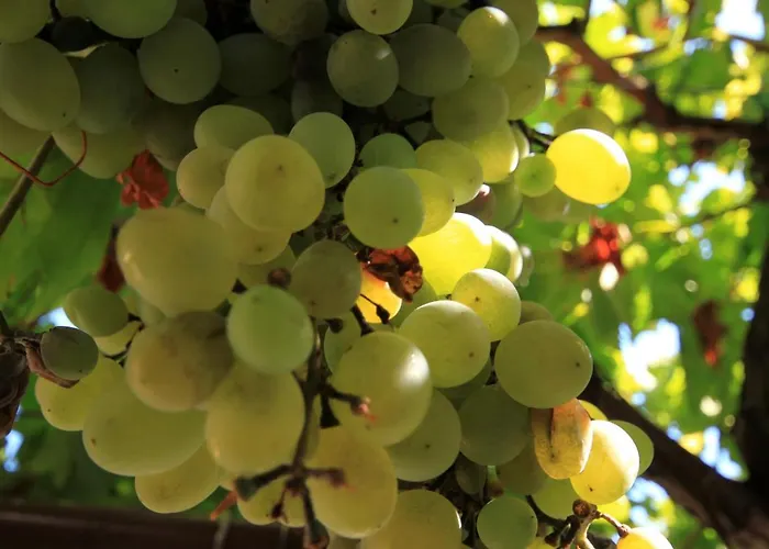 Appartement By The Sea - 9127